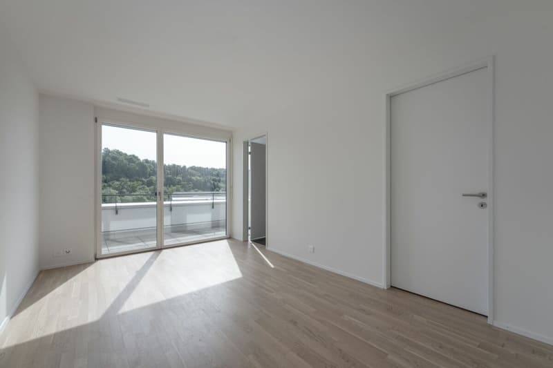 Attikawohnung mit 120 m² Terrasse und unverbautem Blick auf Wald und Weite (4)