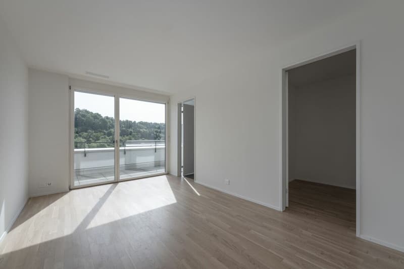 Attikawohnung mit 120 m² Terrasse und unverbautem Blick auf Wald und Weite (3)