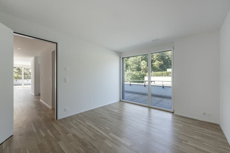Attikawohnung mit 120 m² Terrasse und unverbautem Blick auf Wald und Weite (3)