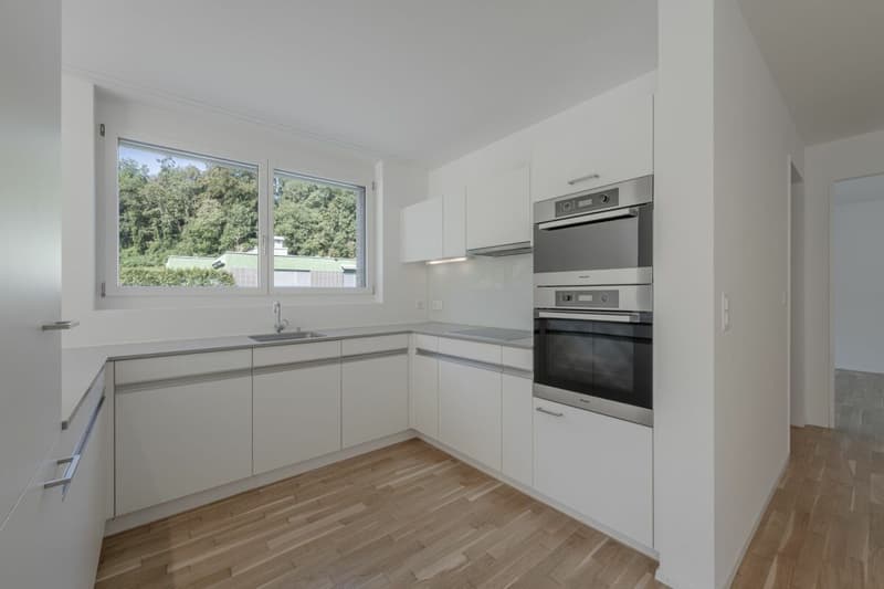 Attikawohnung mit 120 m² Terrasse und unverbautem Blick auf Wald und Weite (2)