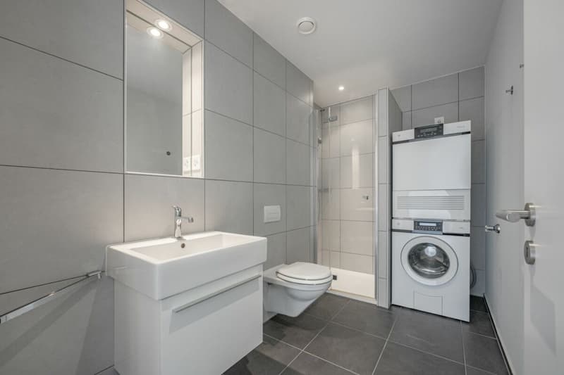 Attikawohnung mit 120 m² Terrasse und unverbautem Blick auf Wald und Weite (7)
