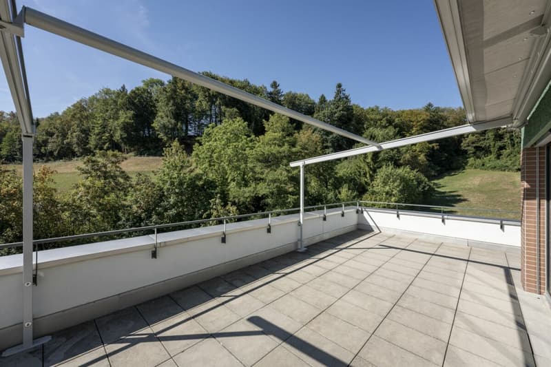 Attikawohnung mit 120 m² Terrasse und unverbautem Blick auf Wald und Weite (13)