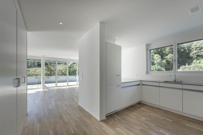 Attikawohnung mit 120 m² Terrasse und unverbautem Blick auf Wald und Weite (4)