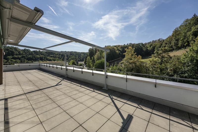 Attikawohnung mit 120 m² Terrasse und unverbautem Blick auf Wald und Weite (12)