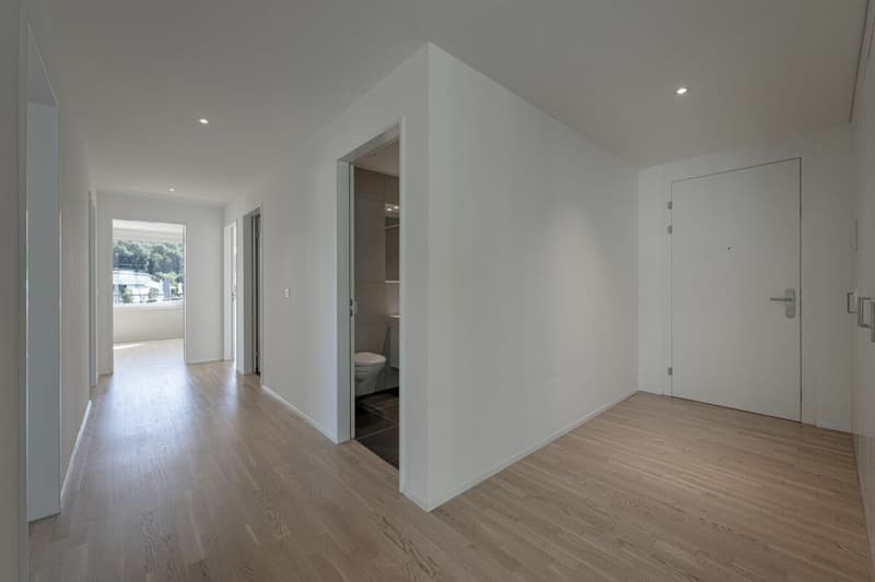 Raum für die ganze Familie: 5.5 Zimmer über dem Limmattal (5)