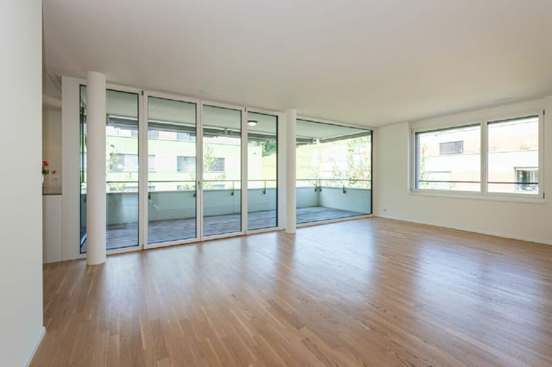 Raum für die ganze Familie: 5.5 Zimmer über dem Limmattal (6)