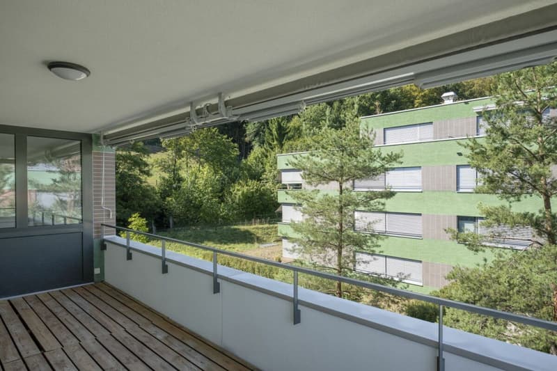 Raum für die ganze Familie: 5.5 Zimmer über dem Limmattal (9)