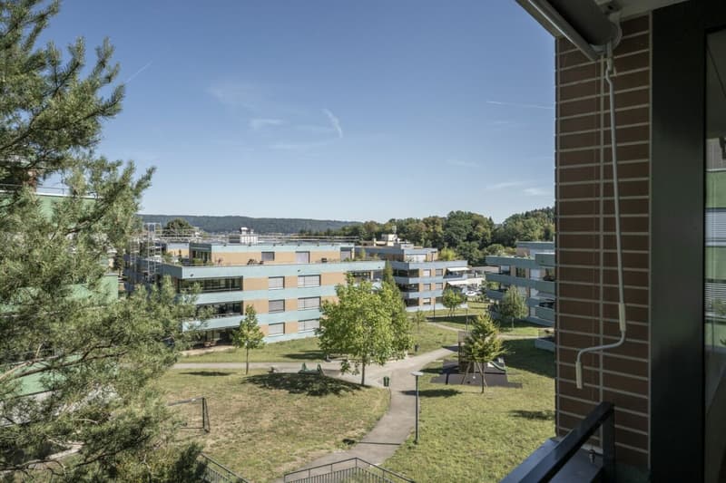 Raum für die ganze Familie: 5.5 Zimmer über dem Limmattal (11)