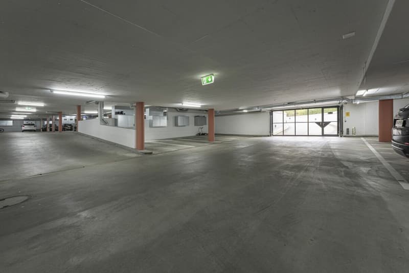 Moderne Eigentumswohnung mit eigenem Garten: 120 m² pures Grün (11)
