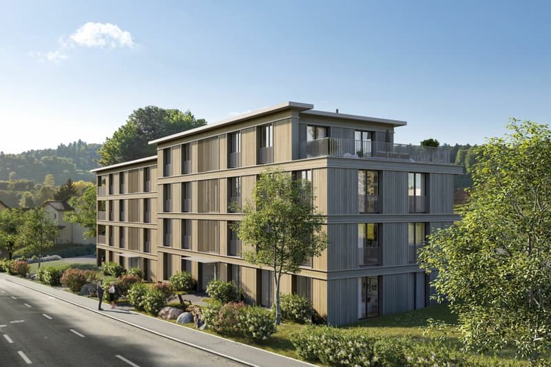 Penthouse Living zwischen Aarau und Zofingen (7)