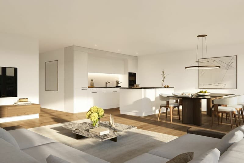 Penthouse Living zwischen Aarau und Zofingen (5)