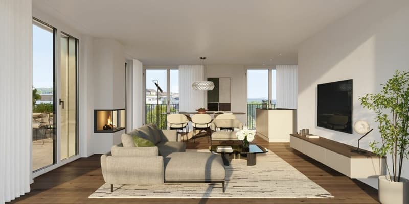 Penthouse Living zwischen Aarau und Zofingen (4)