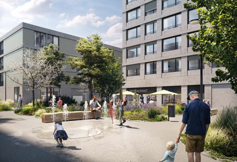 Einmalige 4.5-Zimmerwohnung im 9. Obergeschoss mit Weitblick über das Suhrental (9)