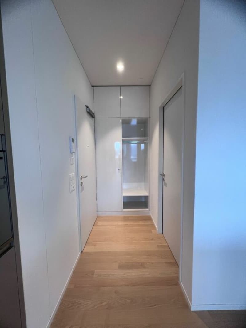 Einmalige 4.5-Zimmerwohnung im 9. Obergeschoss mit Weitblick über das Suhrental (4)