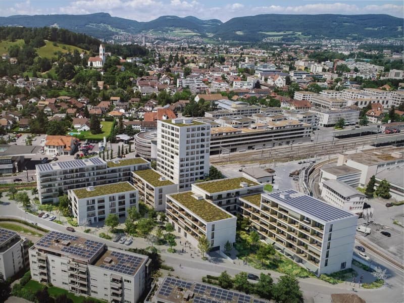 Einmalige 4.5-Zimmerwohnung im 9. Obergeschoss mit Weitblick über das Suhrental (10)
