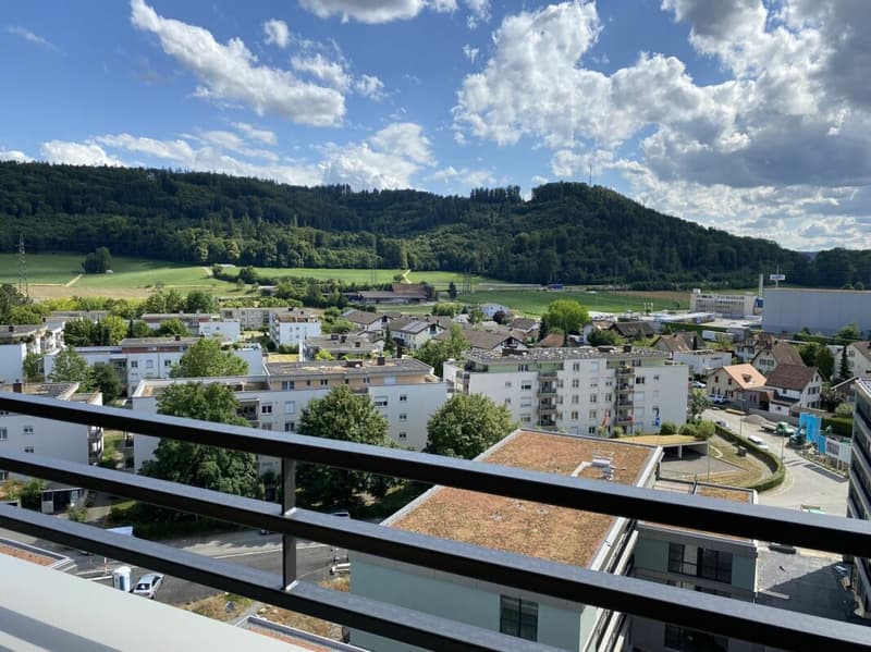 Einmalige 4.5-Zimmerwohnung im 9. Obergeschoss mit Weitblick über das Suhrental (11)