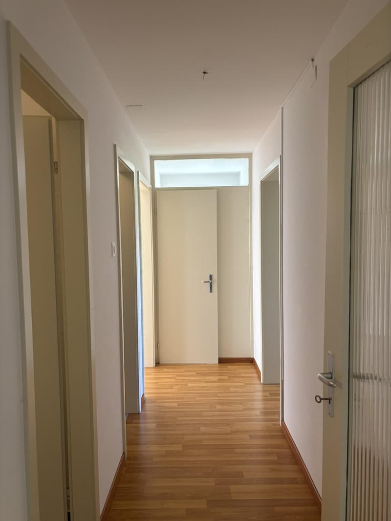 Spacious 3.5-room apartment in St. Gallen (8)