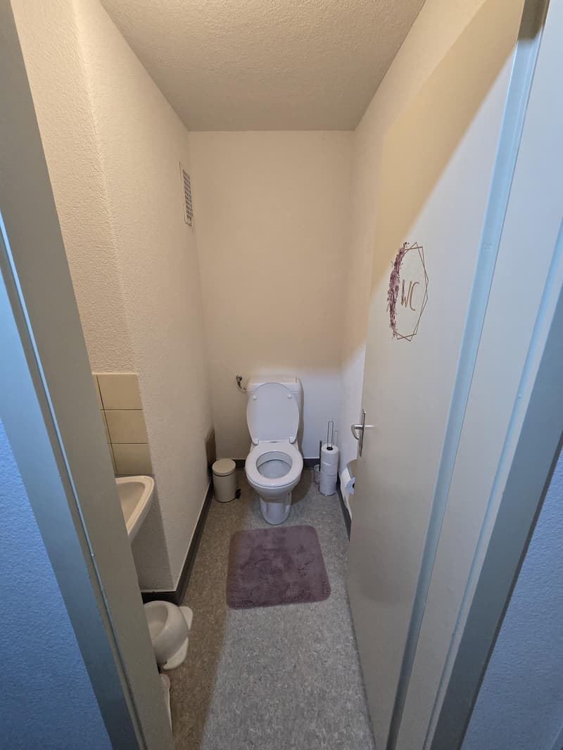 Spacious 3.5-room apartment in St. Gallen (10)