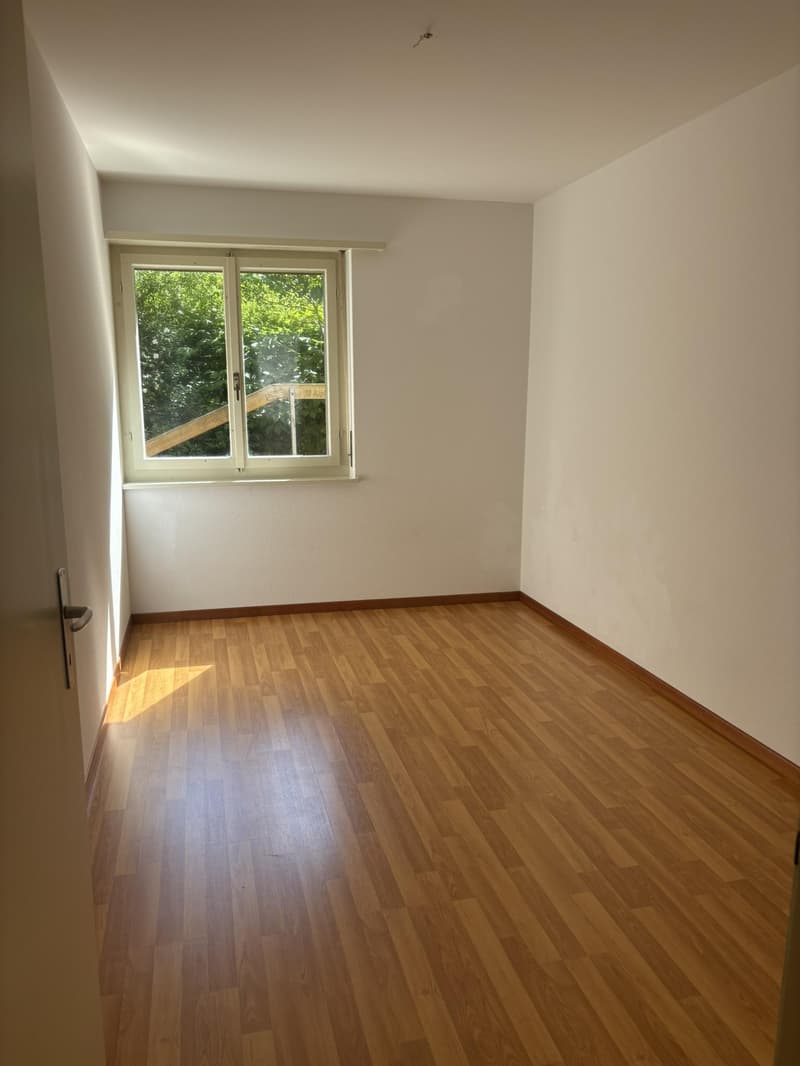 Spacious 3.5-room apartment in St. Gallen (11)