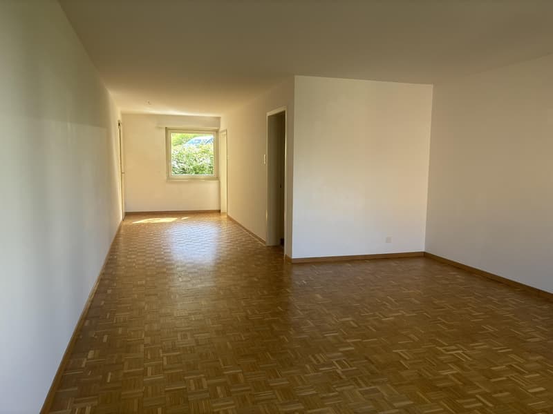 Spacious 3.5-room apartment in St. Gallen (6)