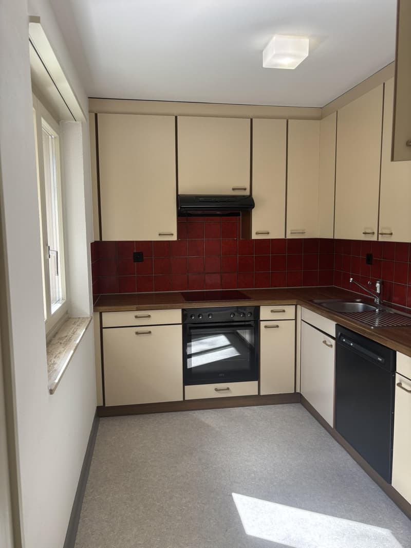 Spacious 3.5-room apartment in St. Gallen (3)