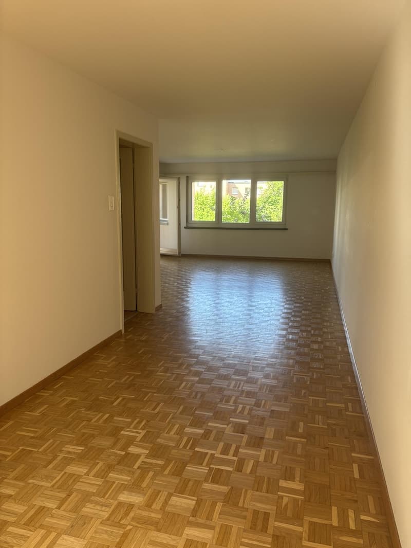Spacious 3.5-room apartment in St. Gallen (4)