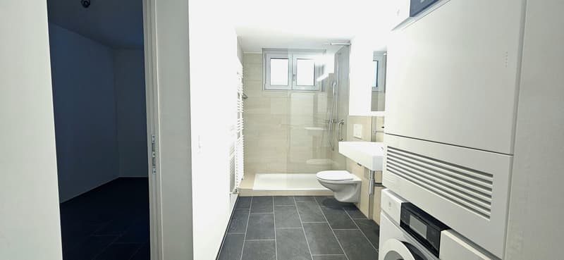 Giardino Segreto - Appartamento 2,5 locali in posizione ideale a Zurigo (7)