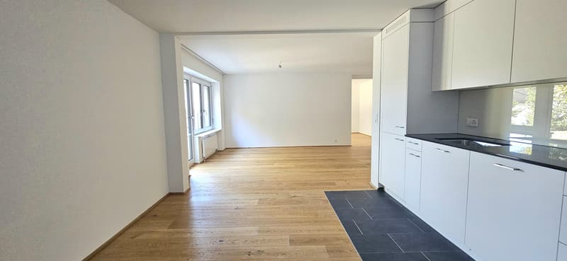 Giardino Segreto - Appartamento 2,5 locali in posizione ideale a Zurigo (5)