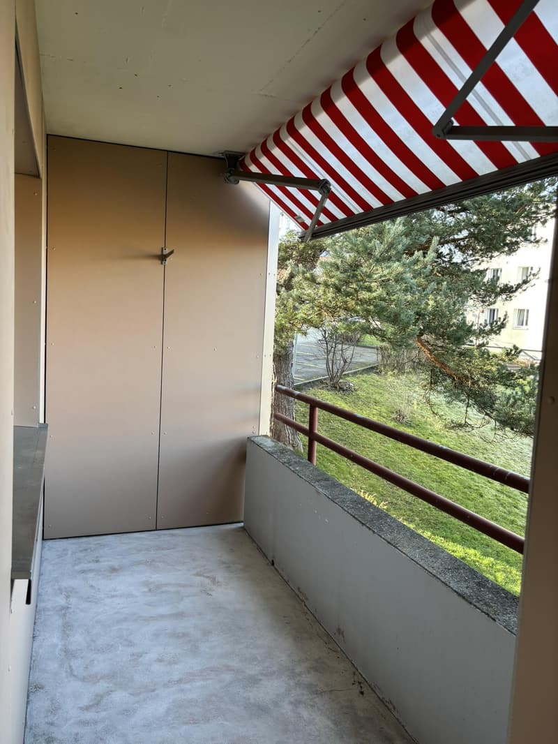 Bright and spacious 3.5-room apartment with freshly renovated kitchen in St. Gallen (11)