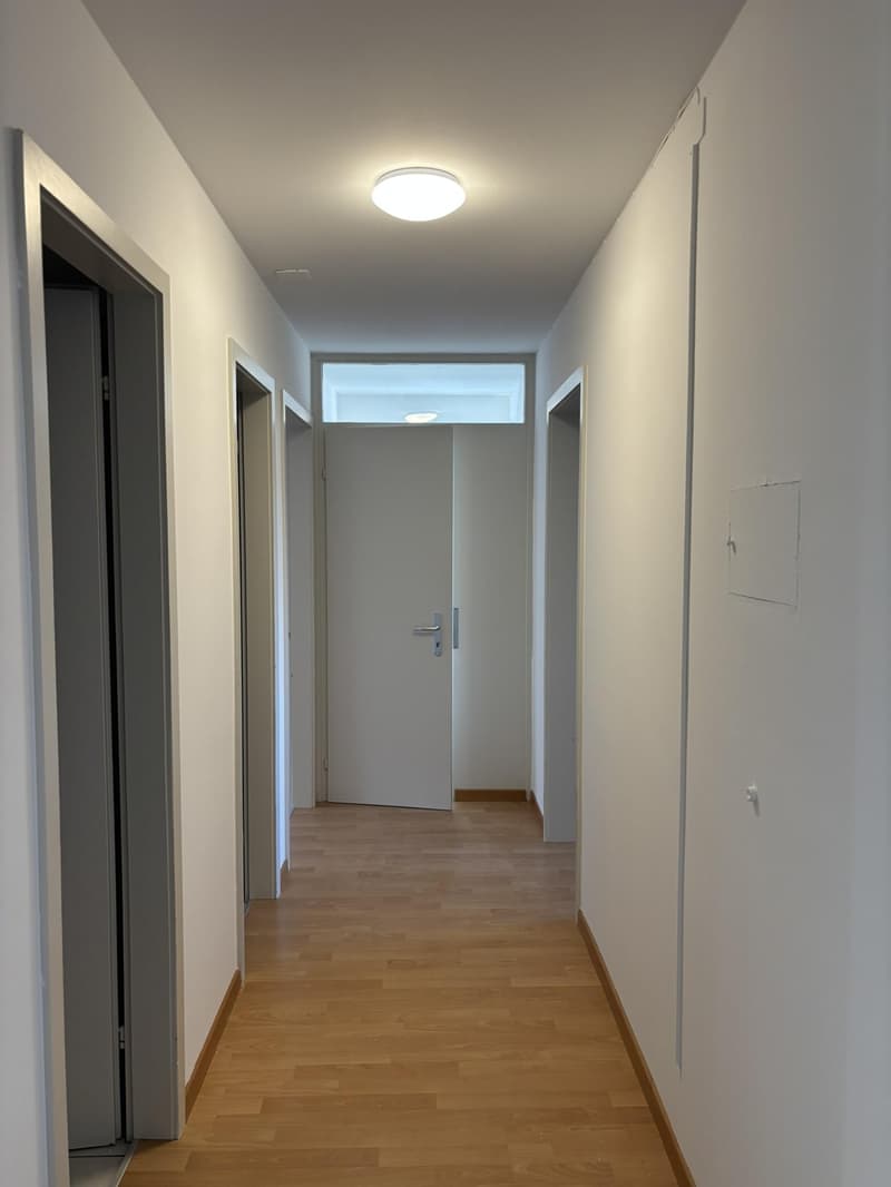Bright and spacious 3.5-room apartment with freshly renovated kitchen in St. Gallen (9)