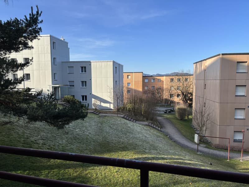 Bright and spacious 3.5-room apartment with freshly renovated kitchen in St. Gallen (12)