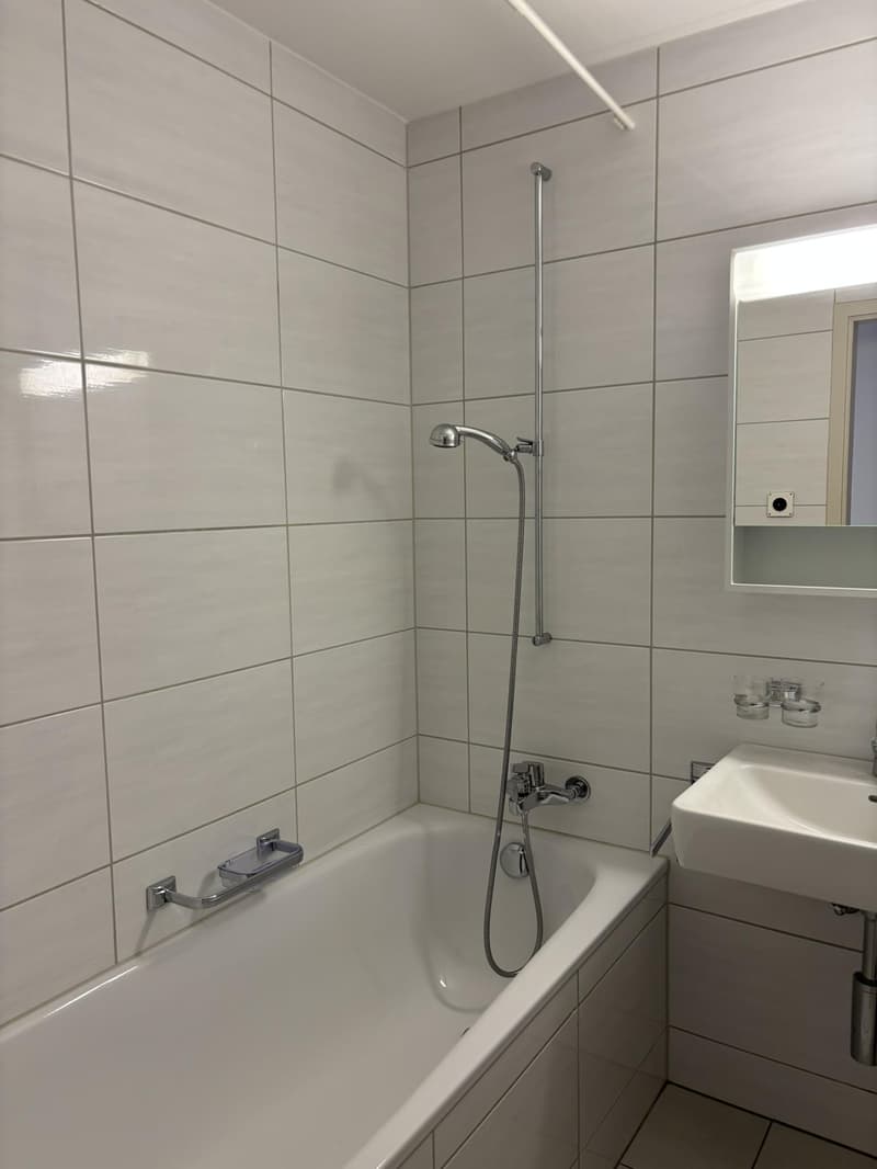 Bright and spacious 3.5-room apartment with freshly renovated kitchen in St. Gallen (5)