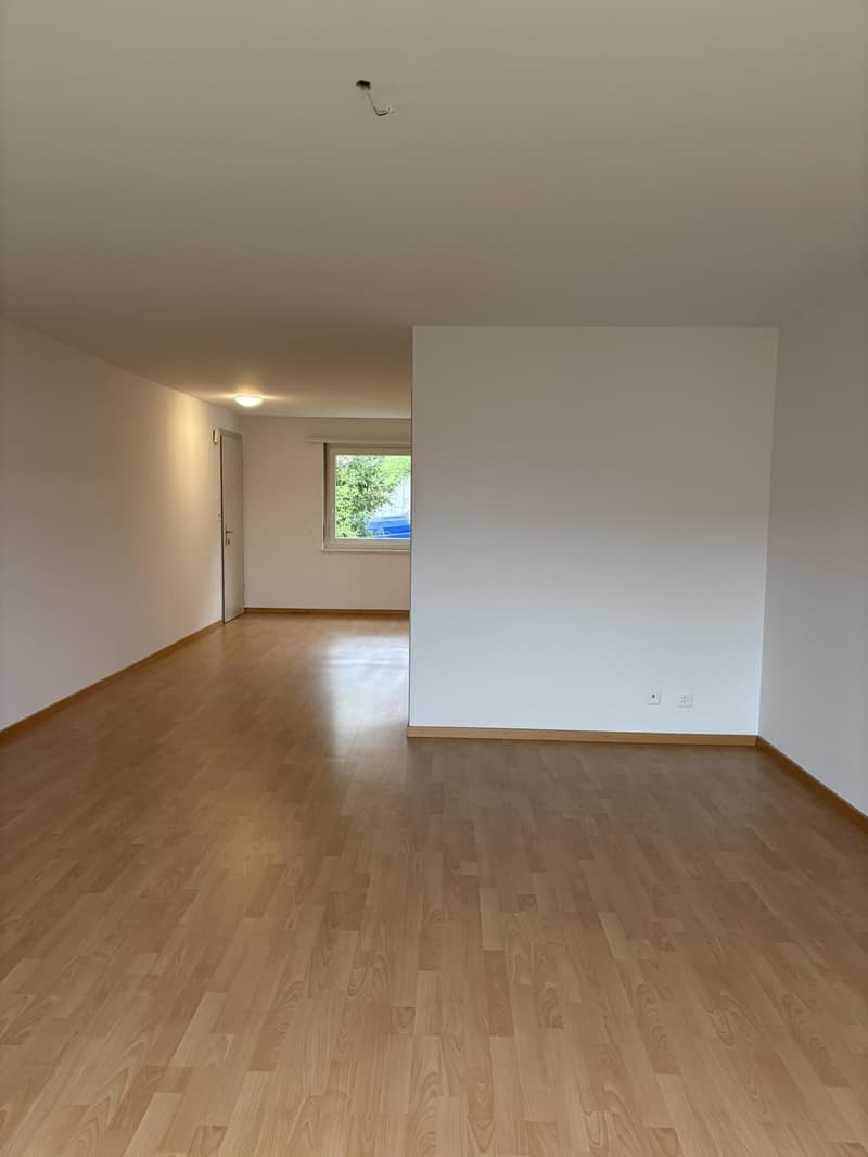 Bright and spacious 3.5-room apartment with freshly renovated kitchen in St. Gallen (4)