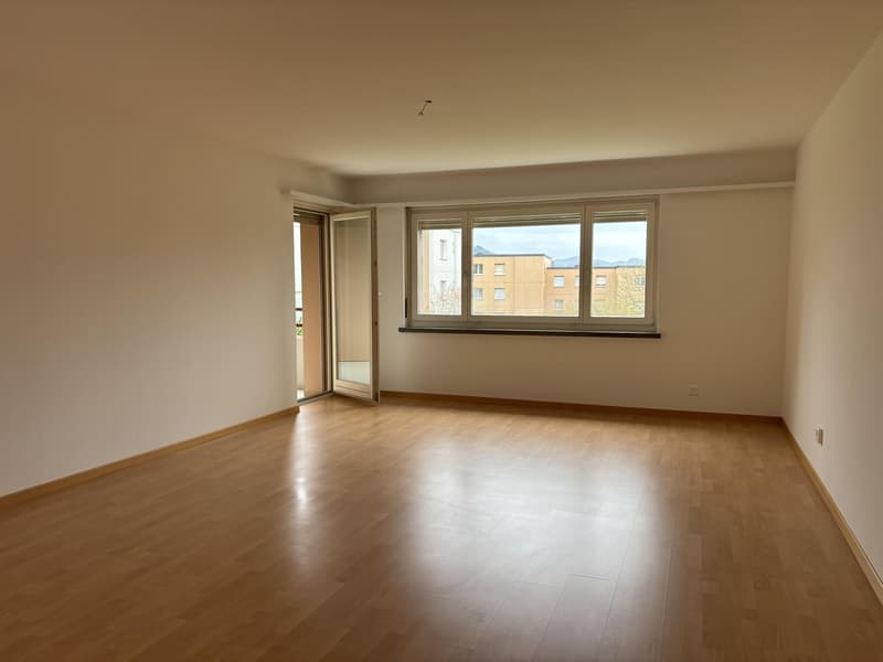Bright and spacious 3.5-room apartment with freshly renovated kitchen in St. Gallen (3)