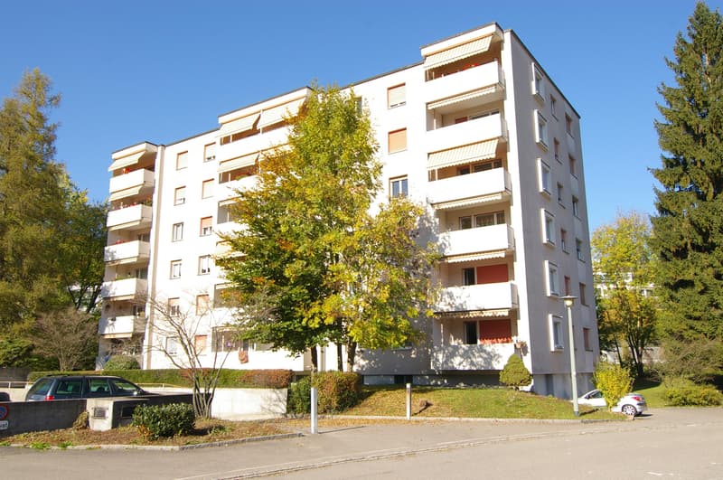 Appartement 3 Pièces 4e Étage à Winterthur (1)