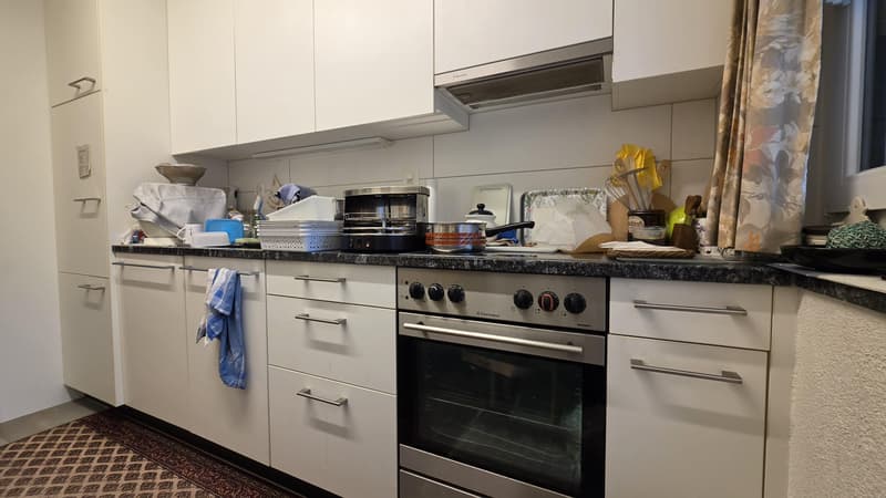 Appartamento di 4 camere a Winterthur (3)