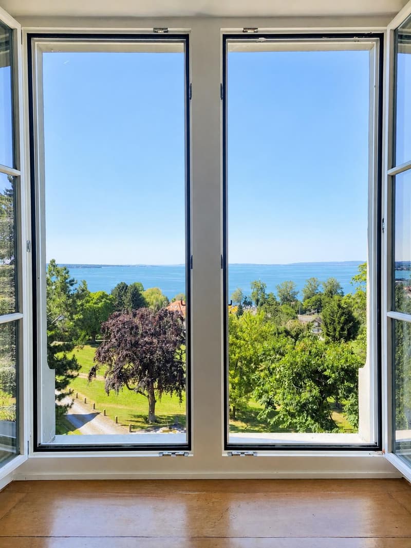 4.5-room apartment in the historic Wiggen Castle (12)
