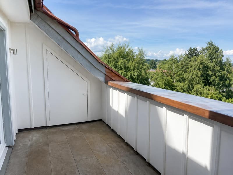 4.5-room apartment in the historic Wiggen Castle (11)