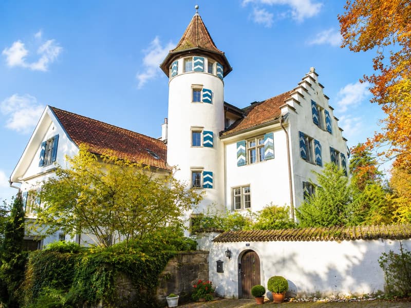 4.5-room apartment in the historic Wiggen Castle (1)
