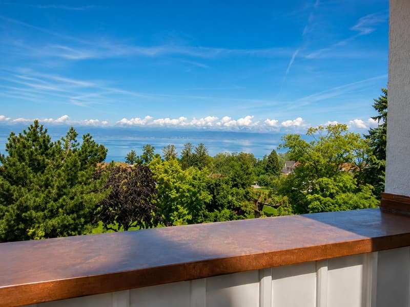 4.5-room apartment in the historic Wiggen Castle (10)