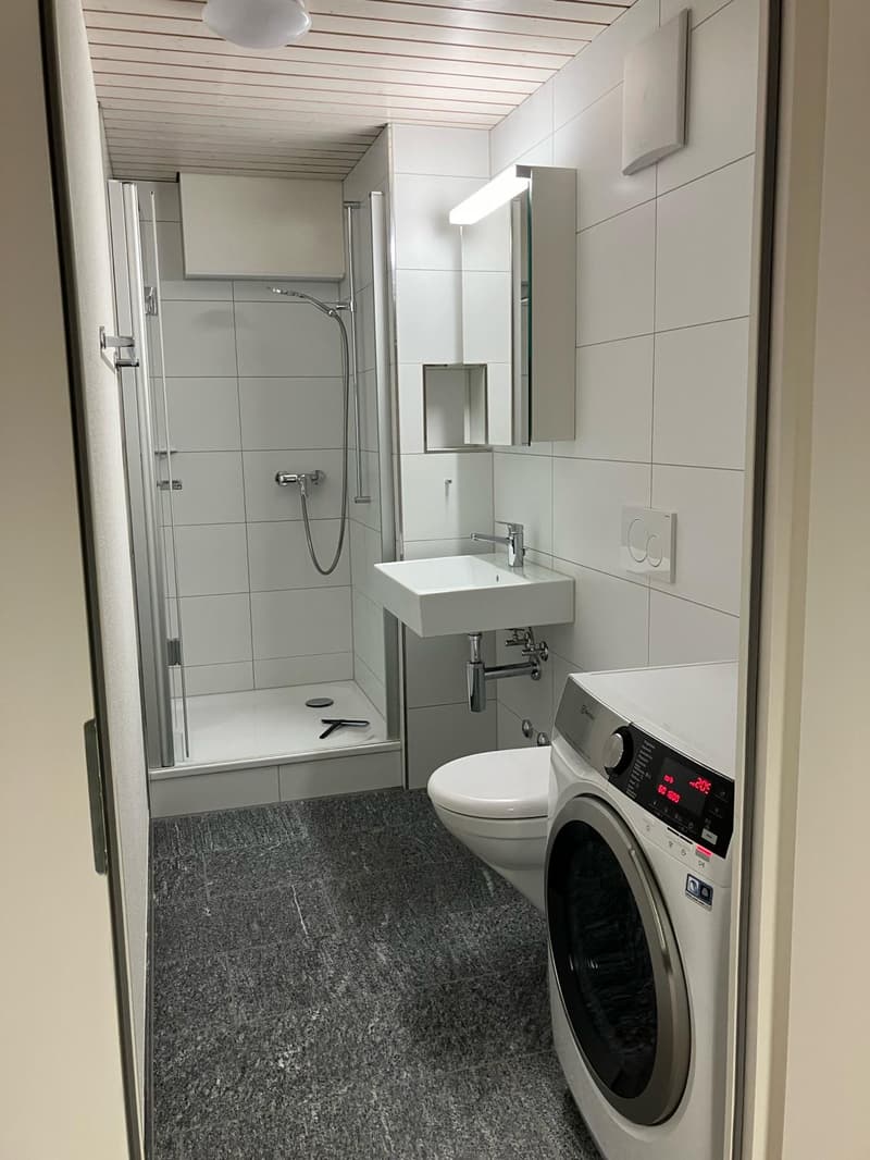 1.0 pièce appartement à Zell ZH (5)