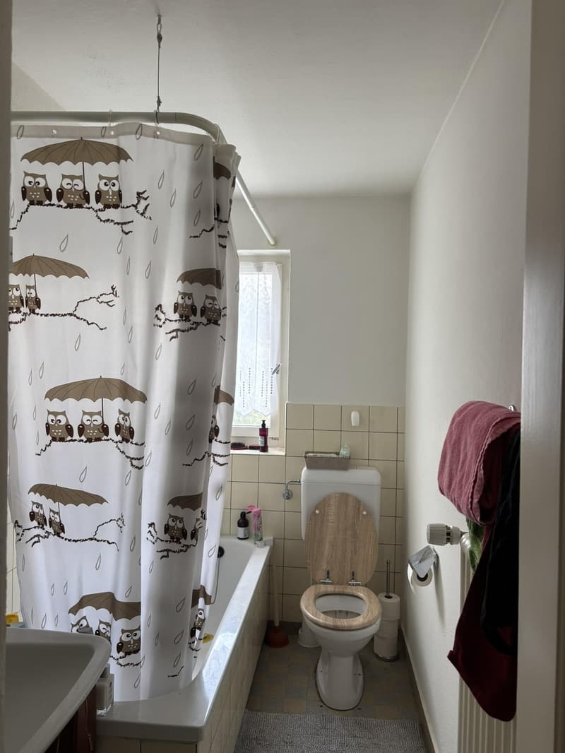 Appartement 4 pièces à Winterthur (4)