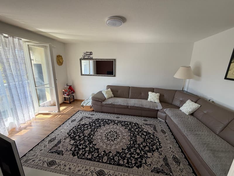 2.0 Zimmerwohnung in Winterthur (4)