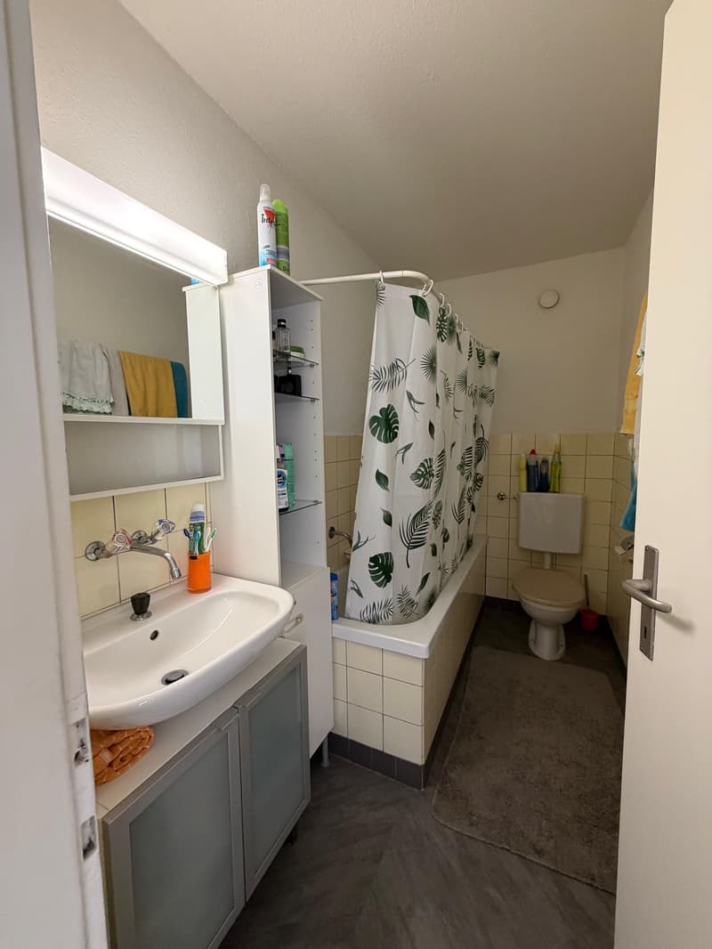 2.0 Zimmerwohnung in Winterthur (7)