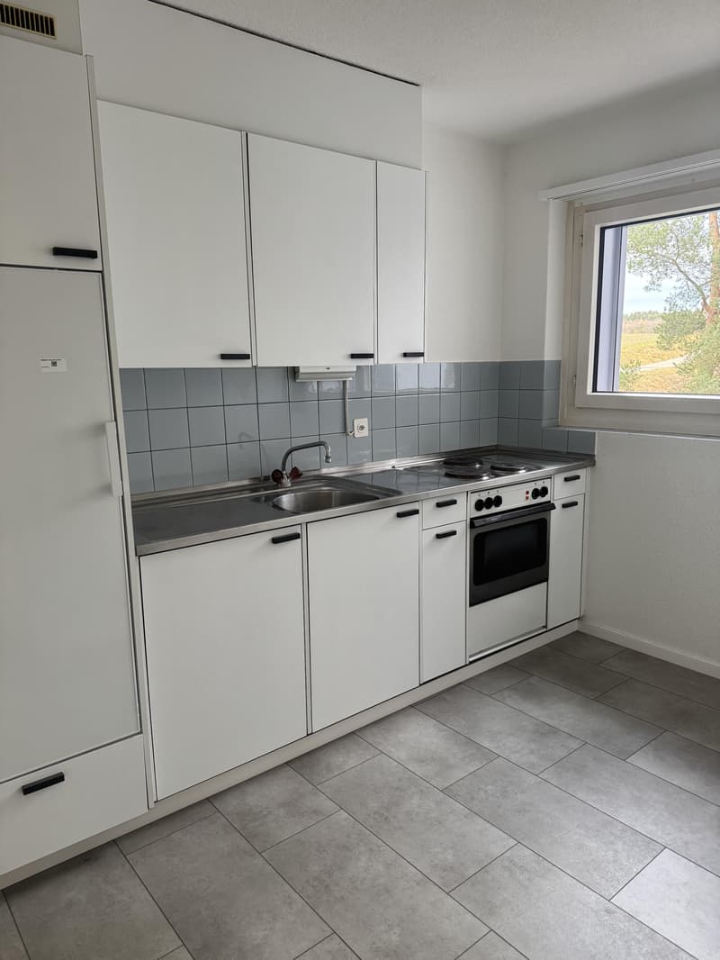 3.0 bedroom apartment in Effretikon (1)