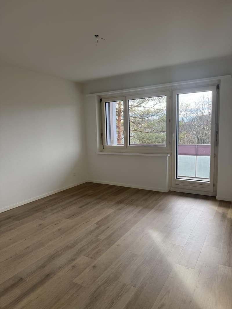 3.0 bedroom apartment in Effretikon (4)