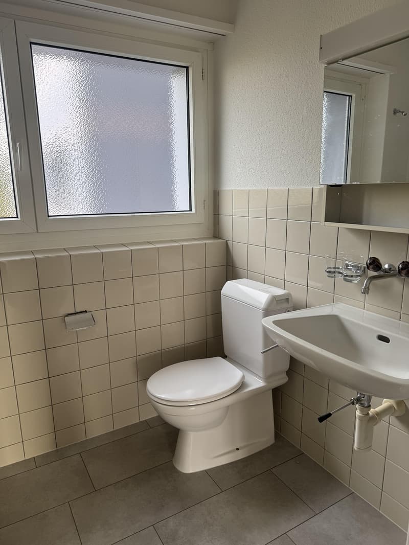 3.0 bedroom apartment in Effretikon (6)