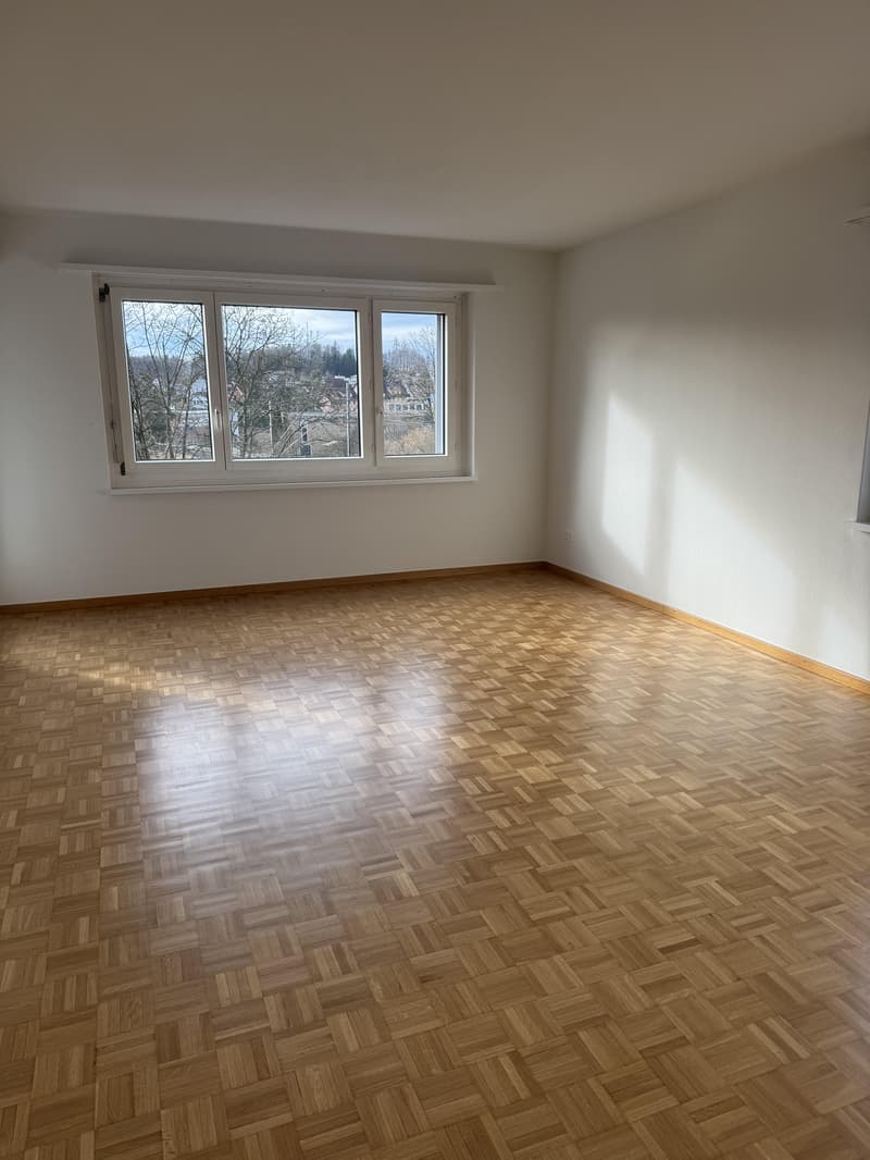 3.0 bedroom apartment in Effretikon (3)