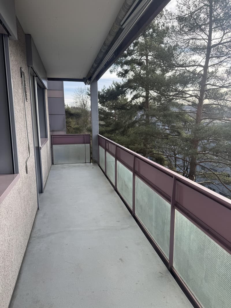 3.0 bedroom apartment in Effretikon (7)