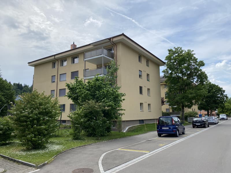Appartement 3 pièces à Kollbrunn (1)